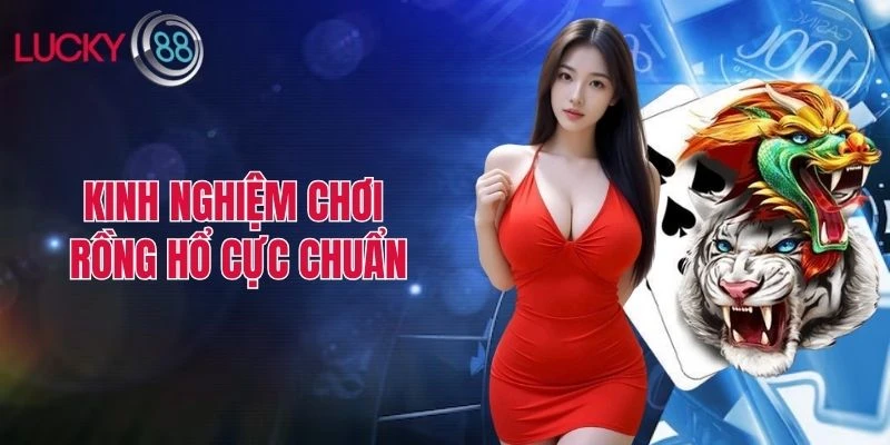 Những kinh nghiệm chơi rồng hổ cực chuẩn