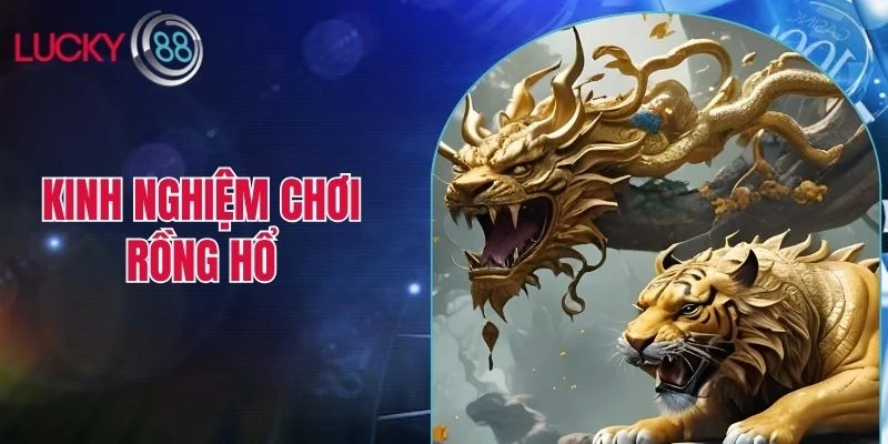 kinh nghiệm chơi rồng hổ