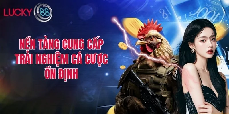 Nền tảng cung cấp trải nghiệm cá cược ổn định