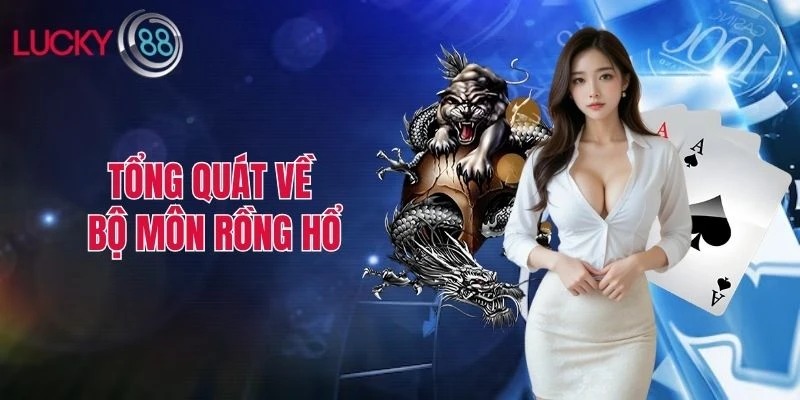 Tổng quát về bộ môn rồng hổ